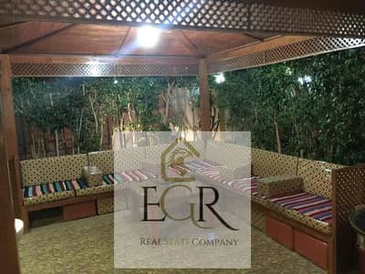 1 Bedroom Apartment for Rent in New Cairo, Cairo - 0e9d5bad-a659-462e-a31d-2193b21dbee9. jpg 1 Bedroom Apartment for Rent in New Cairo, Cairo - 0e9d5bad-a659-462e-a31d-2193b21dbee9. jpg