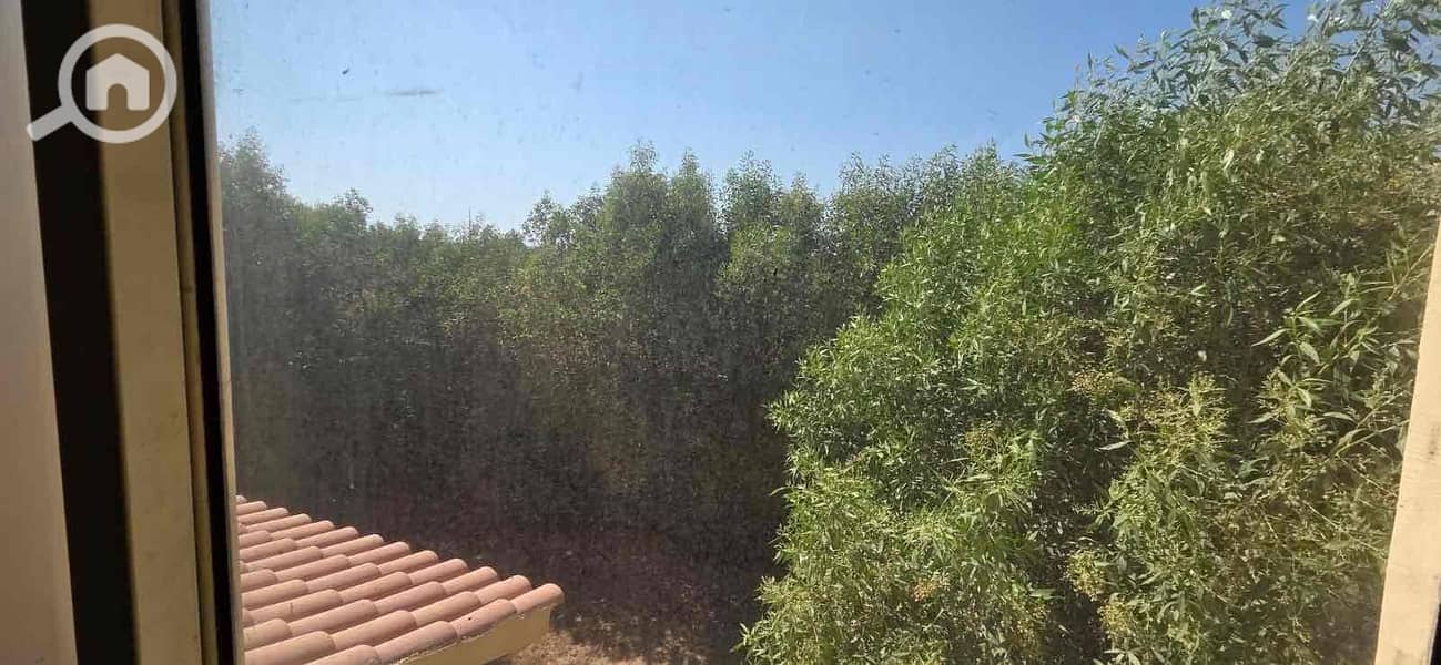 3 0b9954a4-8ed4-42d6-b514-bf74efcfe477. jpg