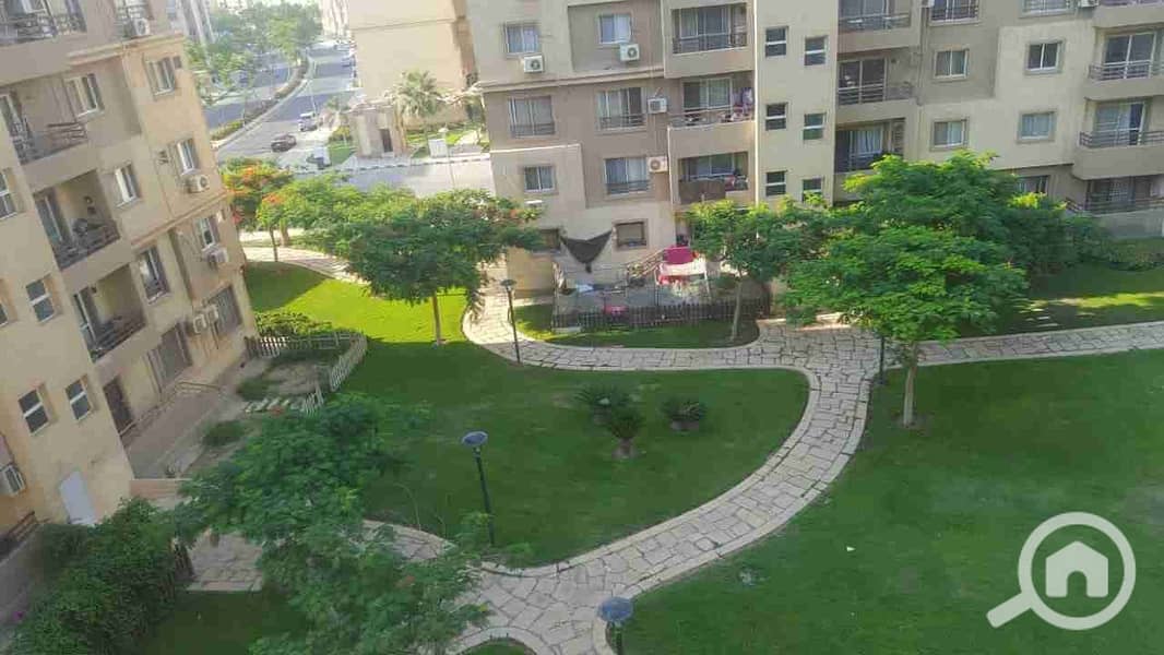 1000954578. jpg 1000954578. jpg