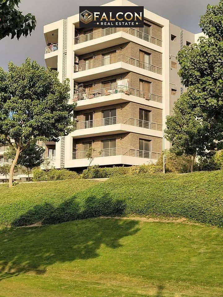 5 photo_2025-06-11_18-39-38. jpg