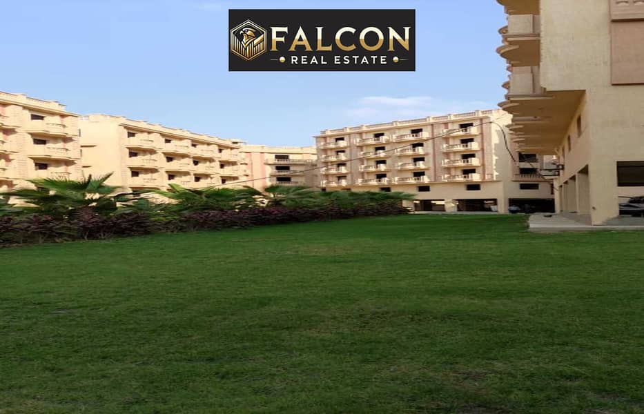 3 191ffcf6-bb9f-4cdd-8cc1-4cd9d1121d1c. jpg