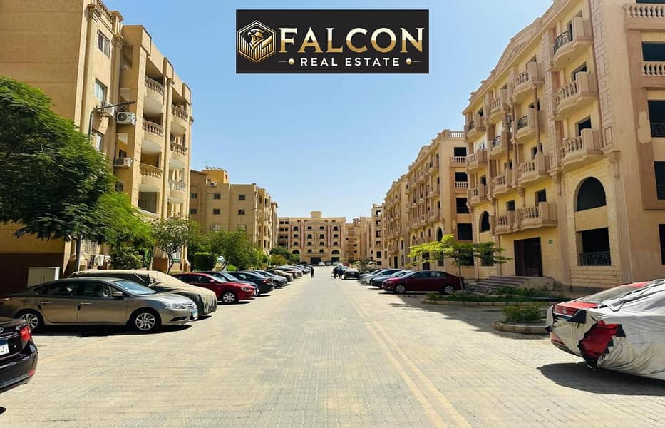 6 72a731cc-b74a-4948-996d-08b3eacbe85f. jpg