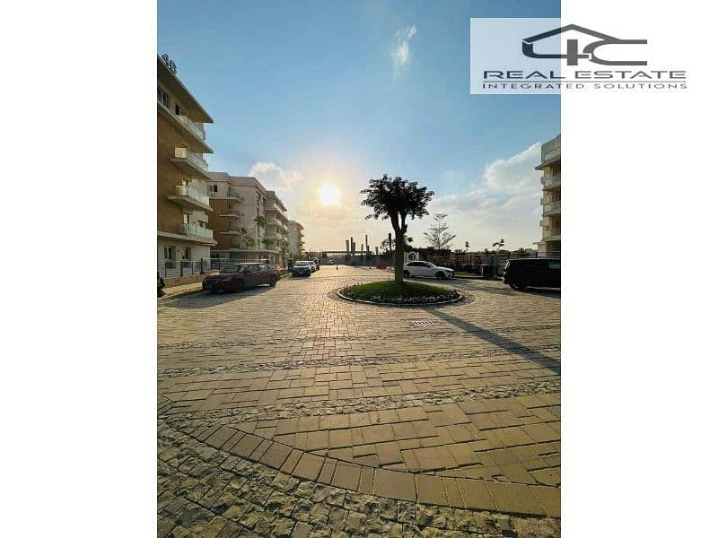 12 352796796_10218016501322831_2932884762931755716_n - Copy (2). jpg