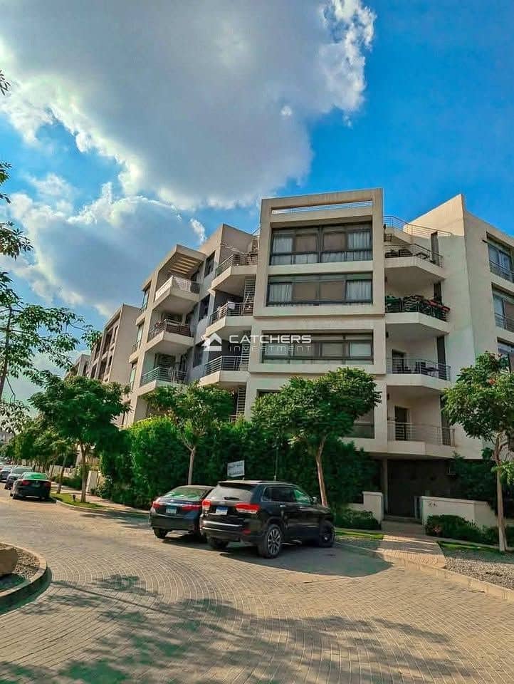 531189630_122196189434364964_7201066363929584100_n. jpg