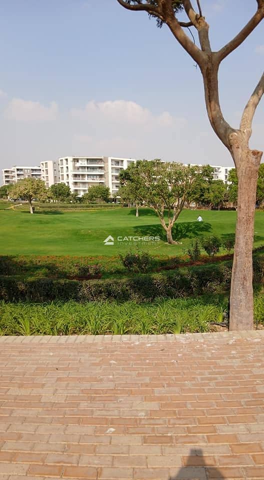 10 579622269_1584577342559436_8631412287388579661_n. jpg