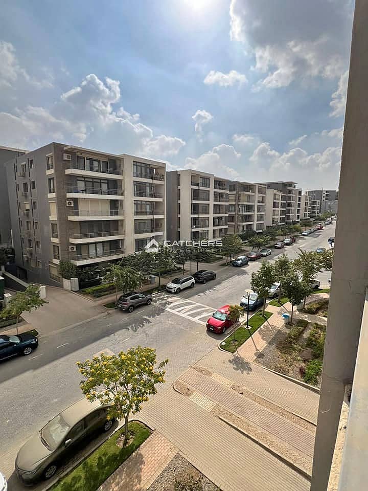 4 582537833_891056543861899_151786168617514992_n. jpg