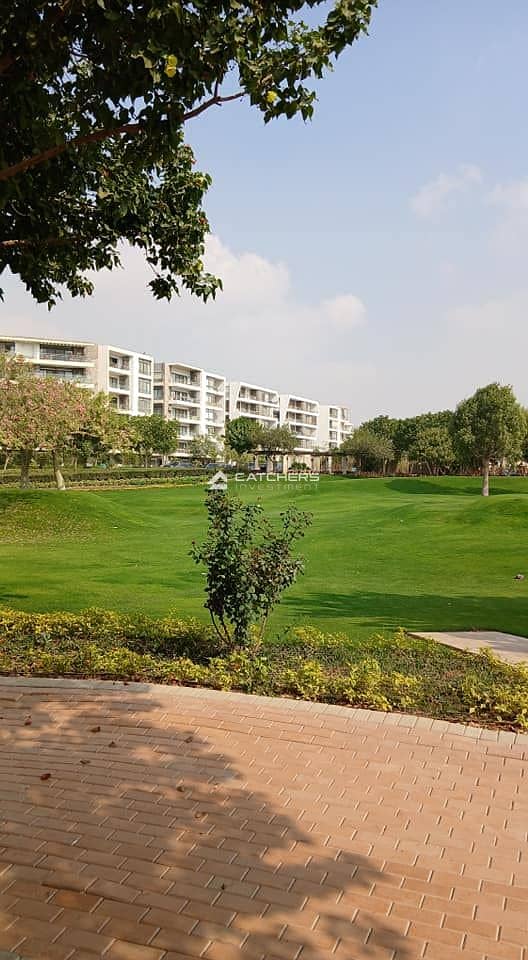 7 579176273_1584577592559411_20481279671942864_n. jpg