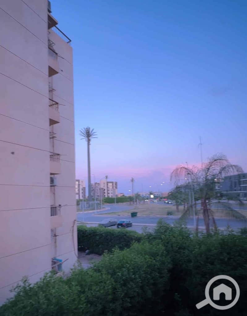 IMG_8173. jpg IMG_8173. jpg