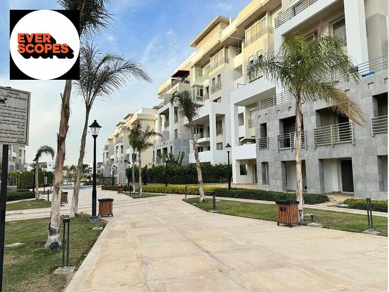 6 WhatsApp Image 2025-11-12 at 00.38. 28_5035a216. jpg