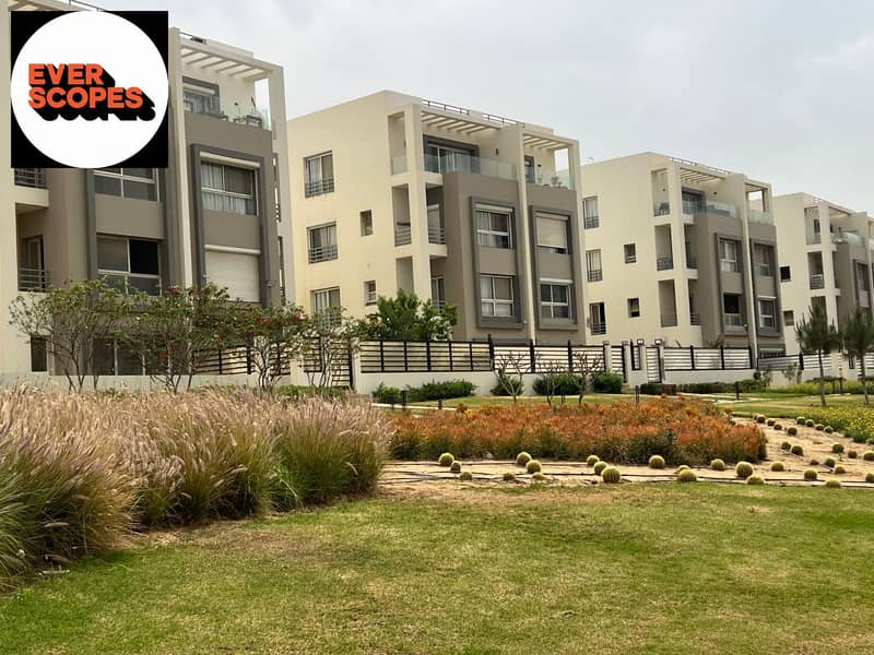 7 WhatsApp Image 2025-11-12 at 00.38. 28_dcd062fd. jpg