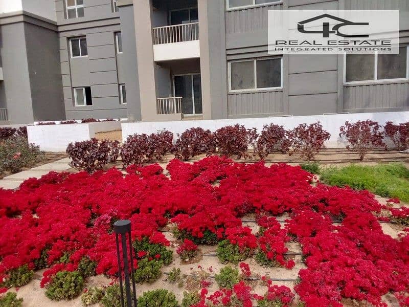 5 WhatsApp Image 2023-07-25 at 6.54. 53 PM. jpg