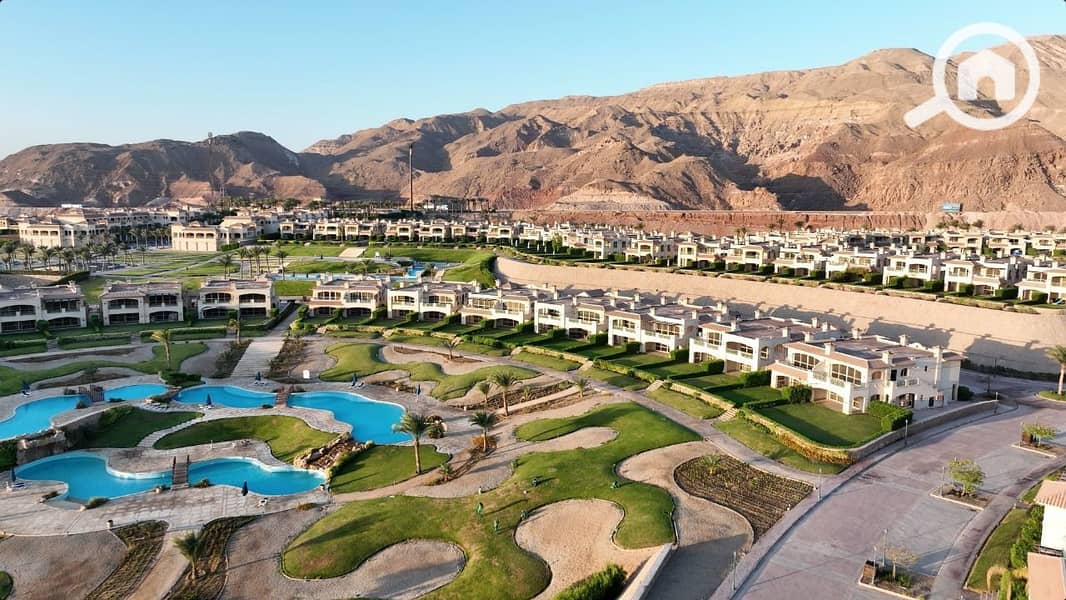 10 photo_2025-03-24_22-12-15. jpg