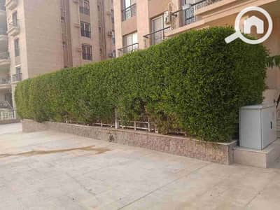 3 Bedroom Apartment for Rent in New Cairo, Cairo - 213665. jpg
