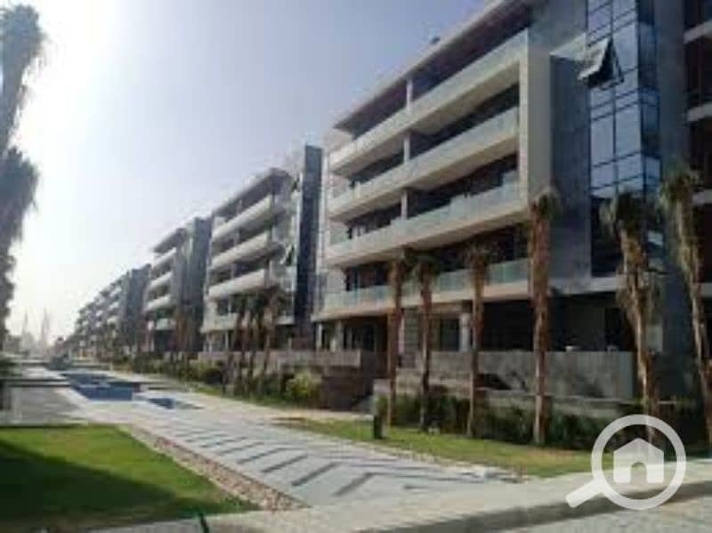 14 images (1). jfif. jpg