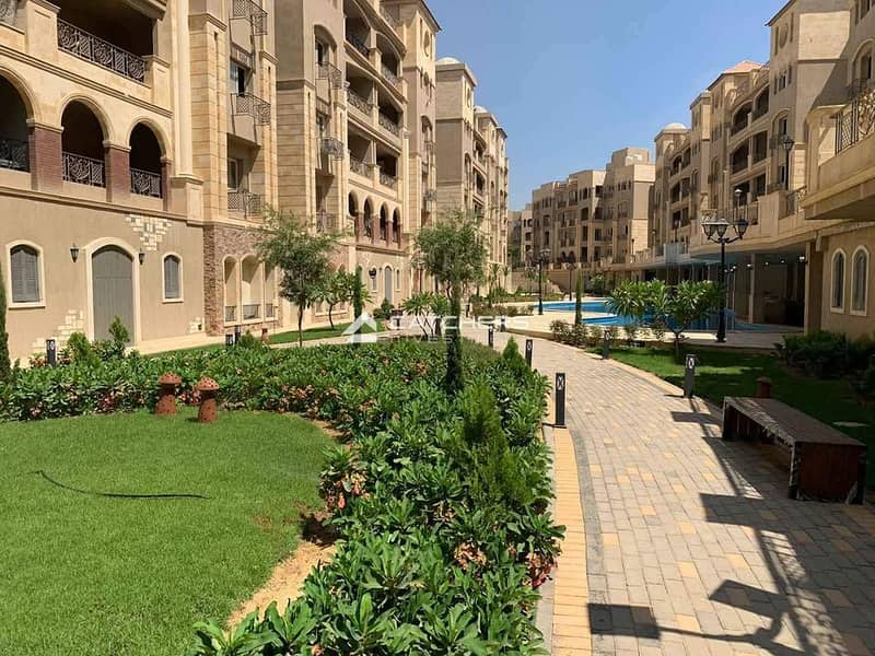 4 464055784_547261231584332_8772654955355414286_n. jpg