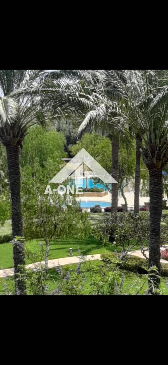 783869da-342f-4957-b711-91aa8e6453e4. jpg