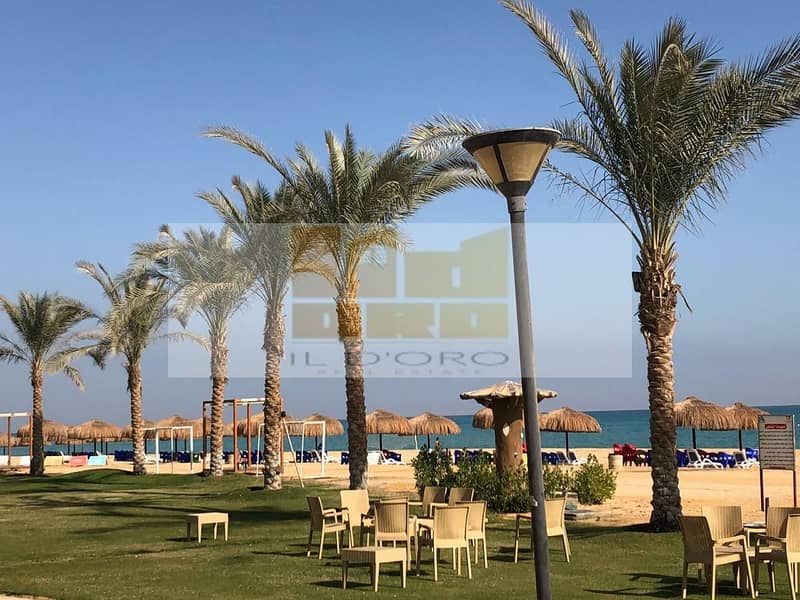 10 WhatsApp Image 2025-12-02 at 1.39. 08 PM (3). jpeg