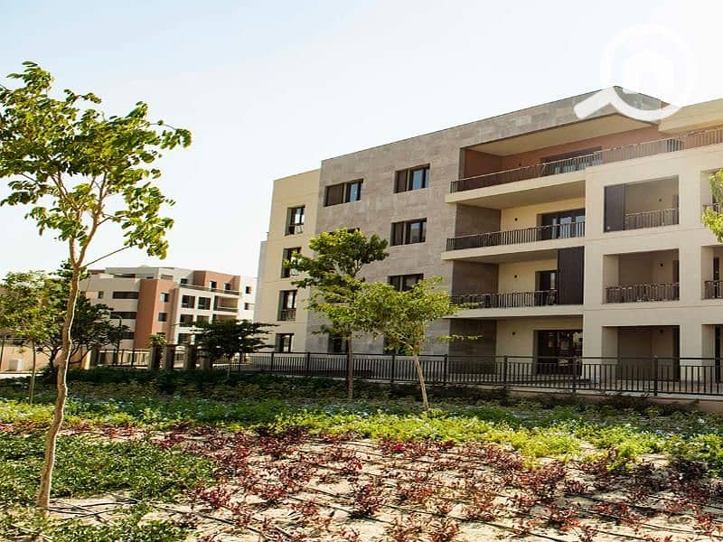 2 c5369a3ed629437cbdb9e1ad4032daeeDSq599. jpg