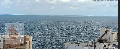 3 Bedroom Flat for Rent in Al Ibrahimiyyah, Alexandria - 999. png