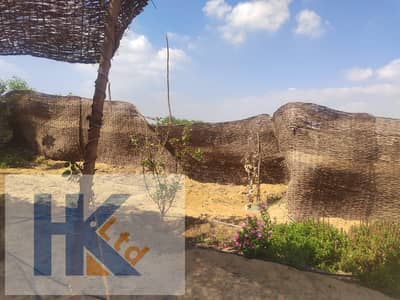 Residential Land for Sale in Fayoum City, Fayoum - WhatsApp Image 2025-09-19 at 3.14. 38 PM (1)(1). jpeg