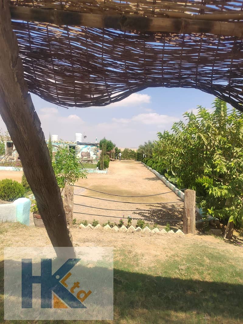 4 WhatsApp Image 2025-09-19 at 3.15. 21 PM. jpeg