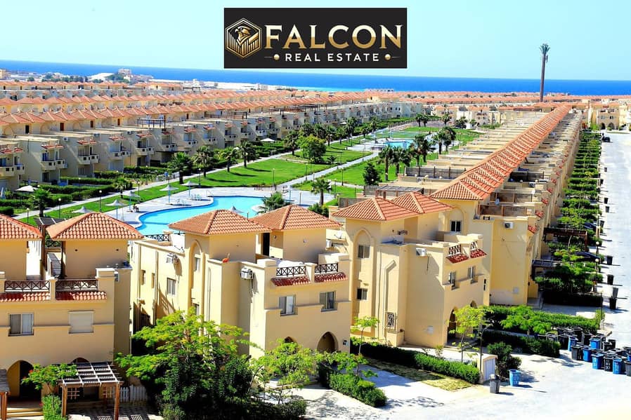 11 487fcc96-898a-4d3e-b5be-be4ccb67c1f0. jpeg