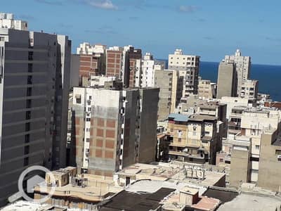 3 Bedroom Flat for Sale in Sporting, Alexandria - WhatsApp Image 2025-12-02 at 12.15. 41 PM (2). jpeg