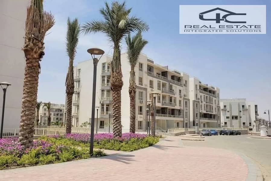 3 WhatsApp Image 2025-12-02 at 15.28. 38. jpeg