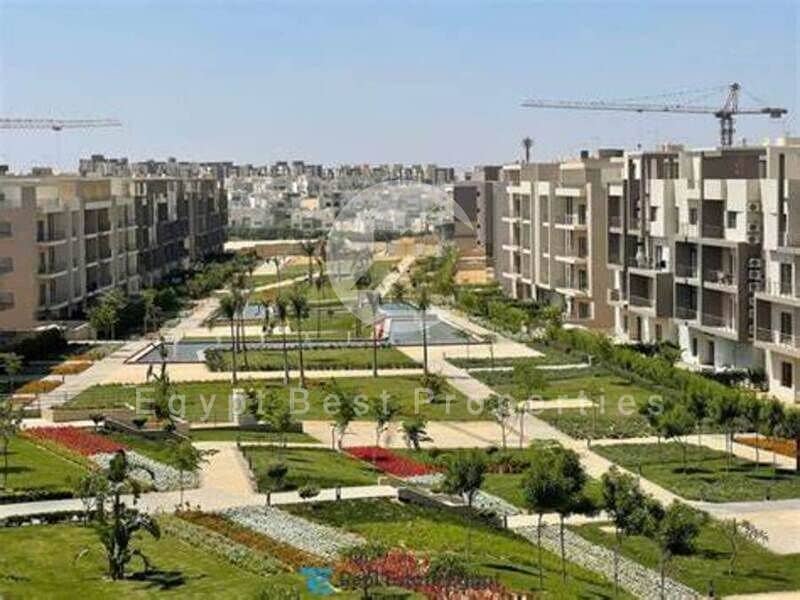 OIP (1). jpg OIP (1). jpg