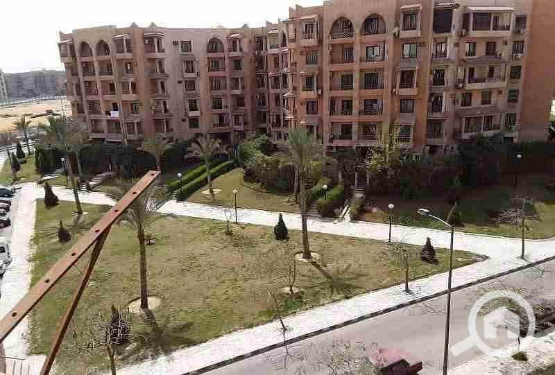 7 FB_IMG_1764440237477. jpg