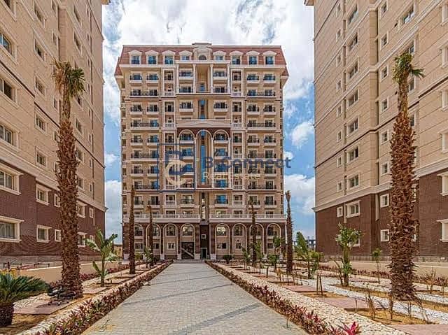 3 WhatsApp Image 2024-12-28 at 4.38. 35 PM. jpeg