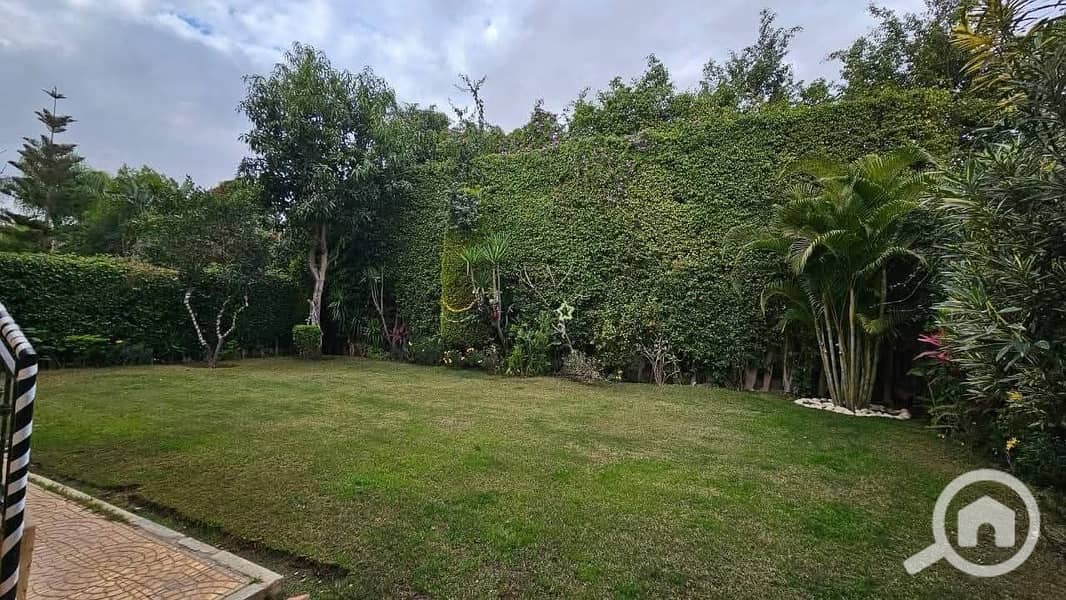 2 صورة واتساب بتاريخ 2025-12-02 في 17.07. 30_b35d046f. jpg