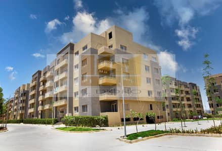 3 Bedroom Flat for Sale in New Cairo, Cairo - WhatsApp Image 2025-12-02 at 12.21. 45 PM (2). jpeg