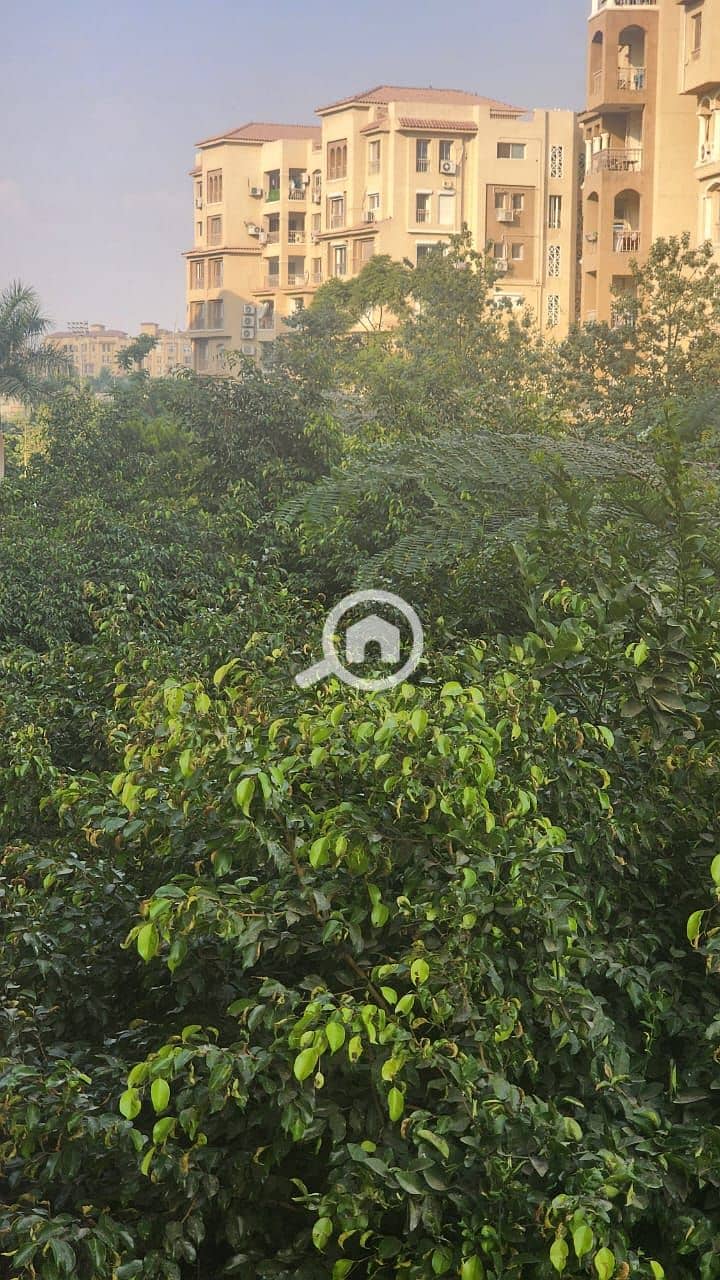 13 صورة واتساب بتاريخ 2025-12-02 في 17.29. 12_91a6632d. jpg