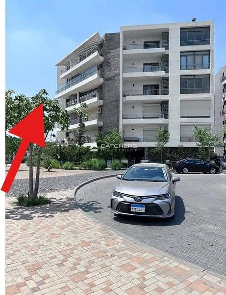 WhatsApp Image 2025-11-13 at 14.24. 11. jpeg WhatsApp Image 2025-11-13 at 14.24. 11. jpeg