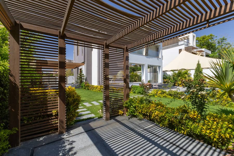 13 IMG_6221-Edit. jpg