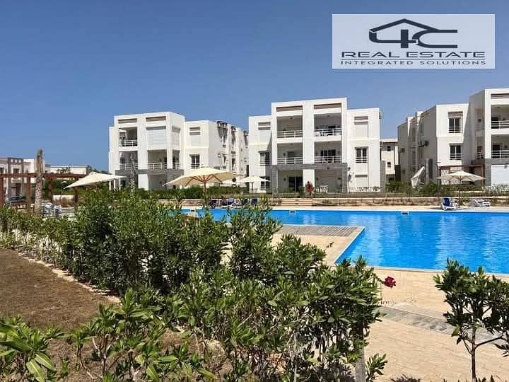 WhatsApp Image 2025-05-25 at 12.55. 38 PM. jpeg