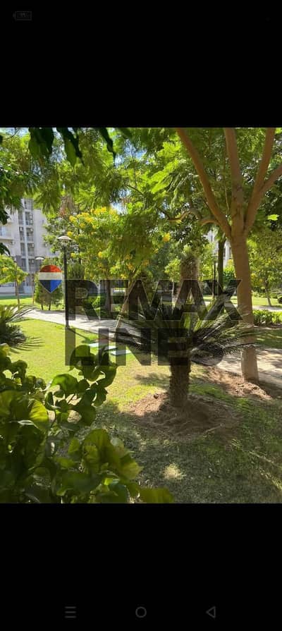 3 Bedroom Apartment for Sale in Madinaty, Cairo - 866bed67-e444-451e-b5b3-f470cf6473da. jpg