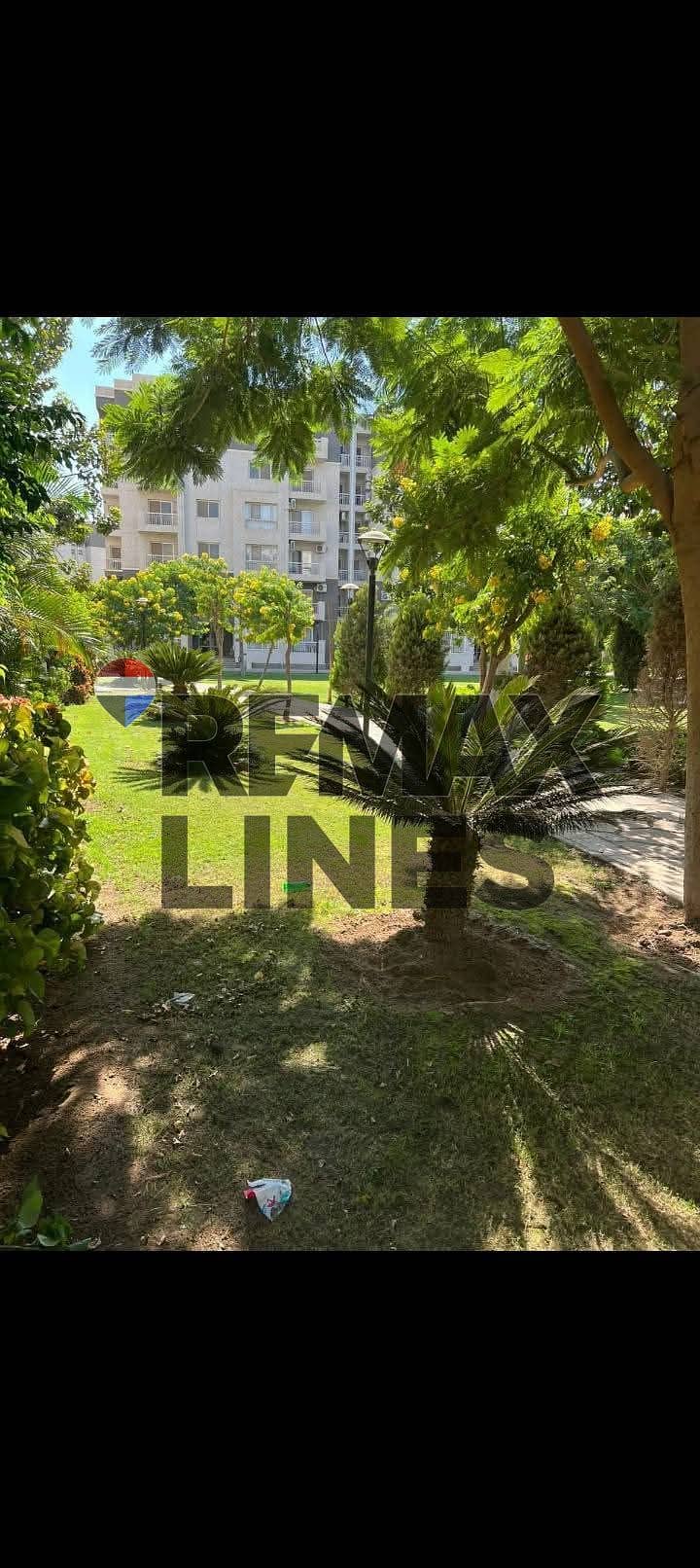 3 f2f78b99-a2b0-44b1-8f1a-5478ba56dc52. jpg