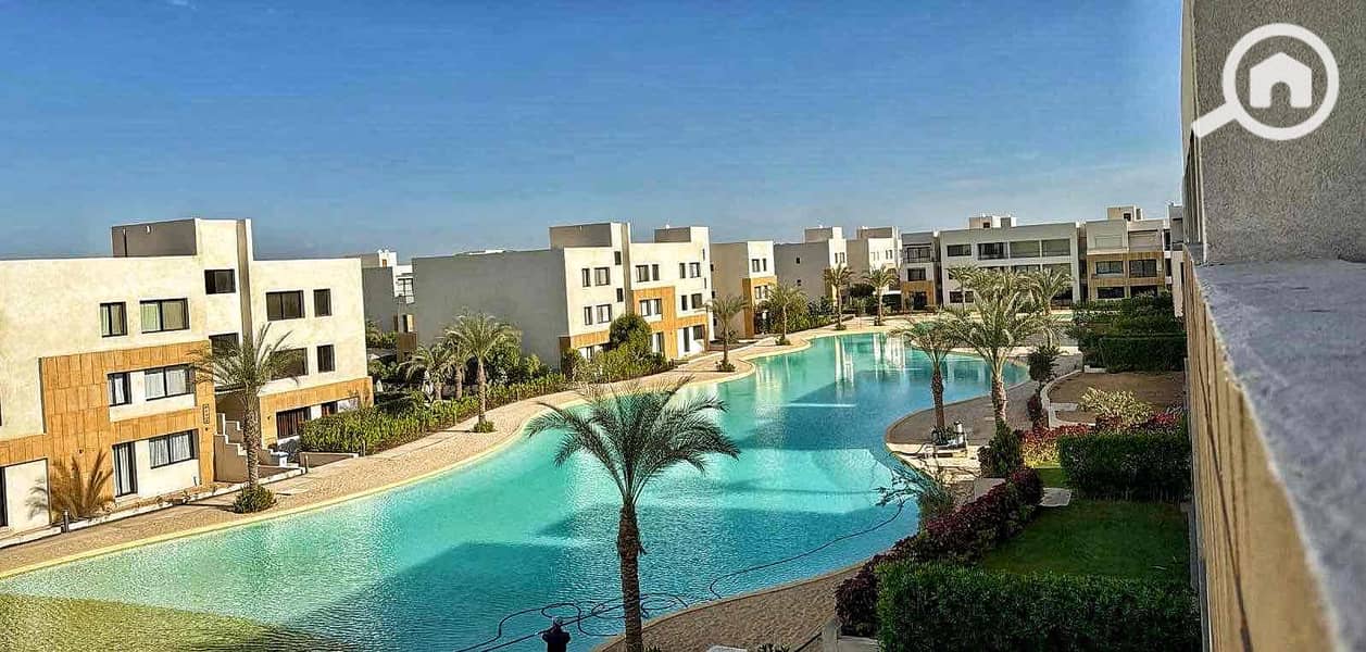 15 07f6923b-aff8-4cdc-8ca9-848d459317b9. jpg