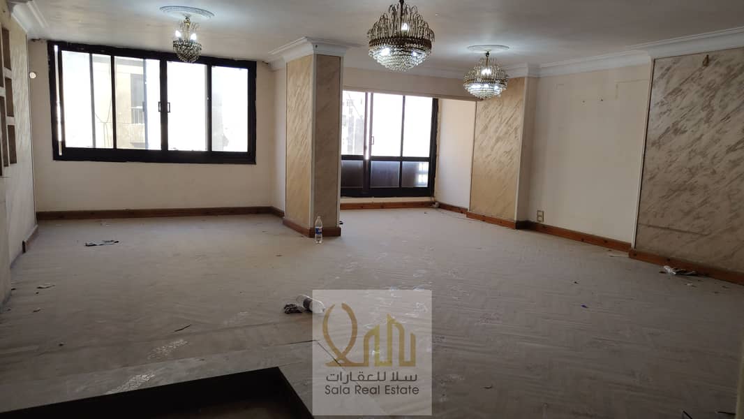 IMG20251025143537. jpg IMG20251025143537. jpg