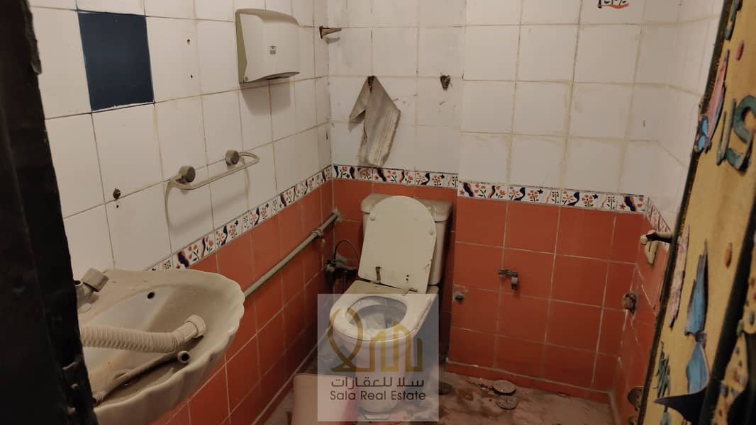 11 IMG20251126170143. jpg