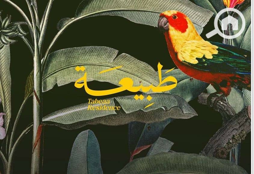 4 Screenshot_30-11-2025_112111_. jpeg