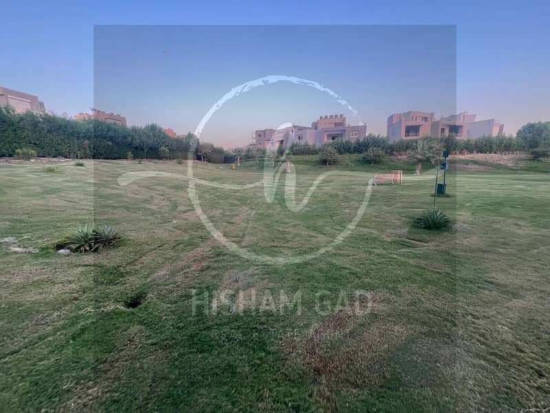 10 bf12c40a-b92e-496f-a9c8-d26edfb3989f. jpg