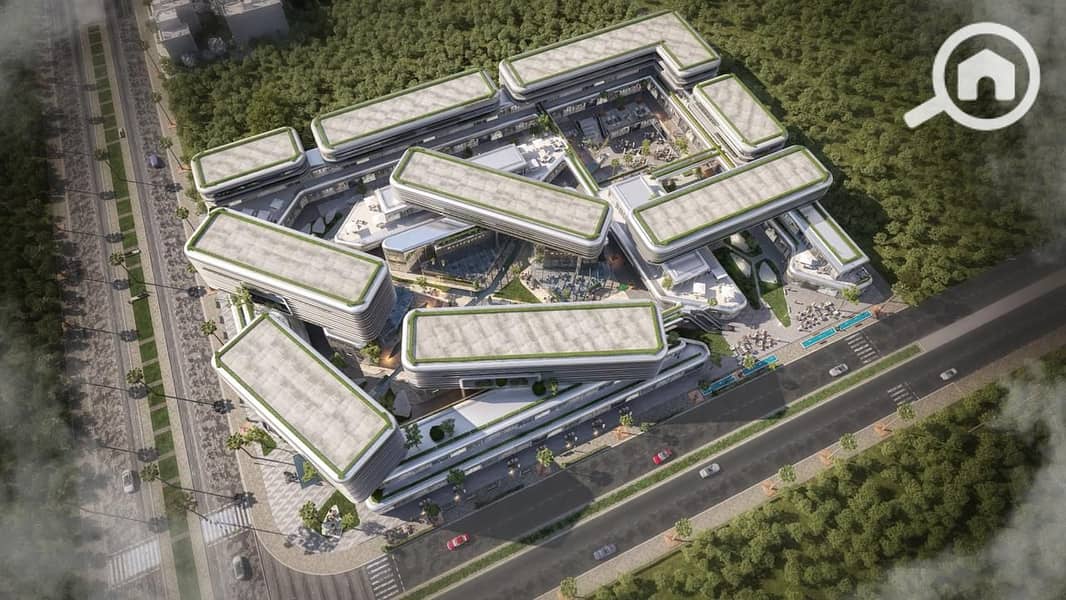 4 THE CORD  (4). jpeg