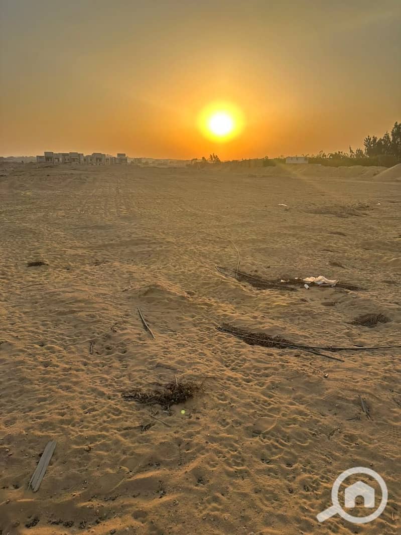 3 49f000ef-b8aa-4879-b6e0-42dd290aee3e. jpg