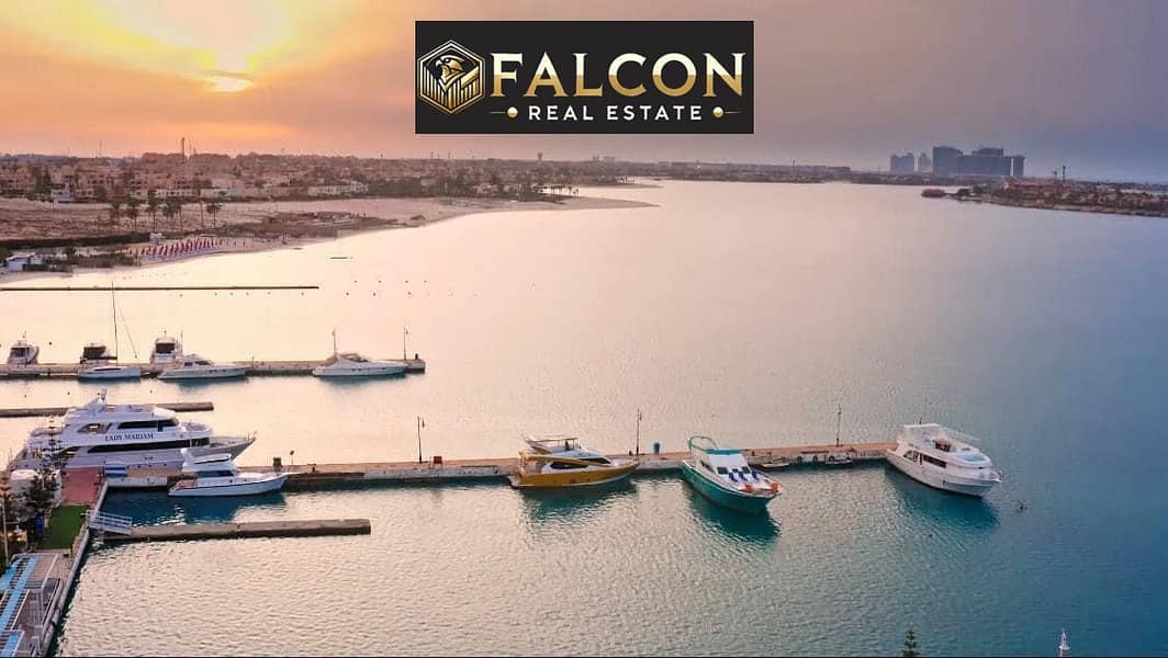 4 458390167_464850956556871_3049539660510981423_n. jpg