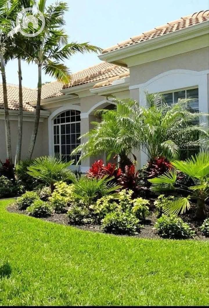 4 FB_IMG_1744642868298. jpg