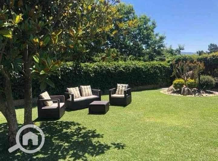 5 FB_IMG_1746835448972. jpg