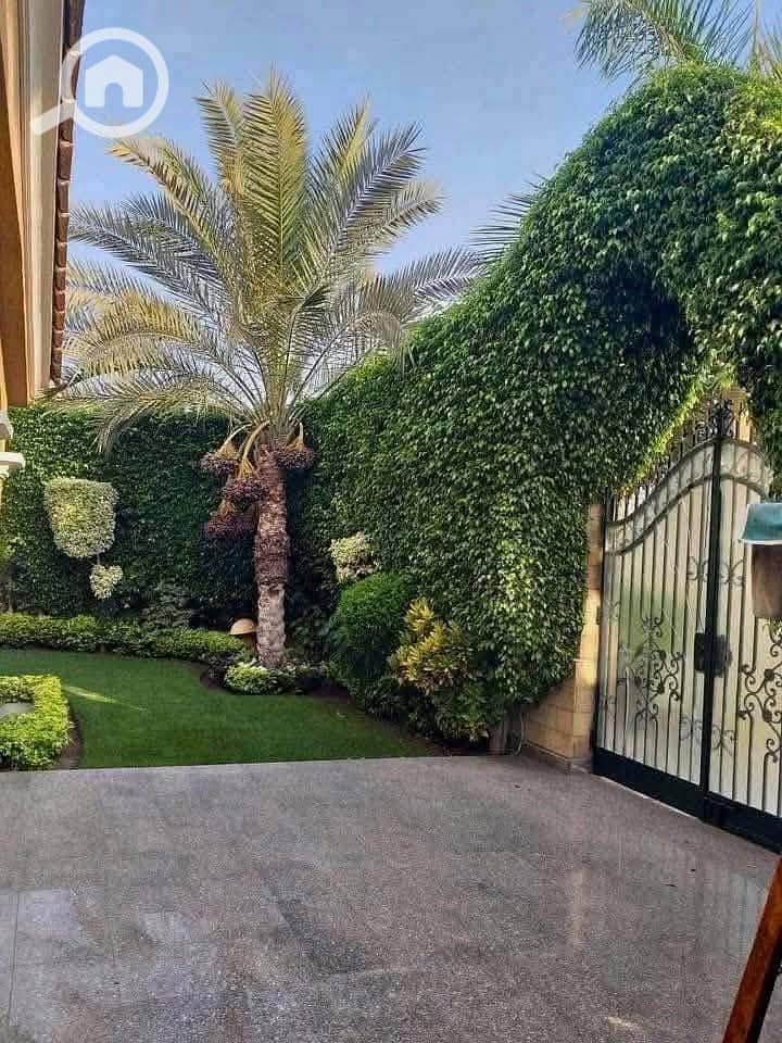 5 FB_IMG_1744642859935. jpg